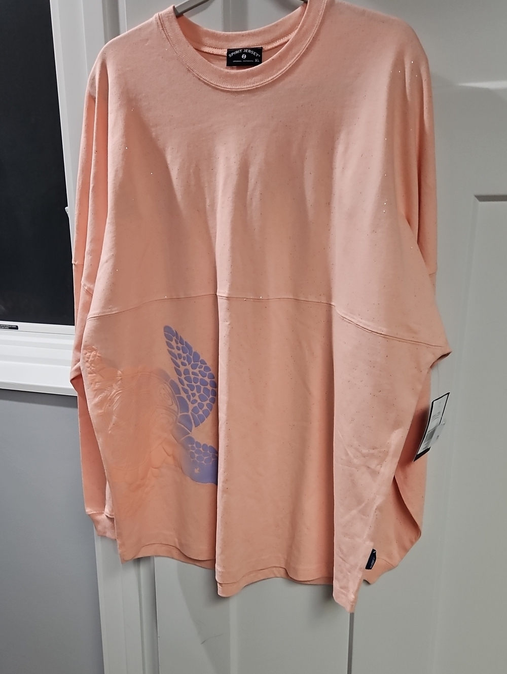 Free People Peach Long-Sleeve Pullover with Subtle Graphic